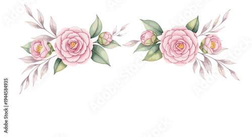 Delicate pink camellia flowers and buds with soft green leaves and muted branches