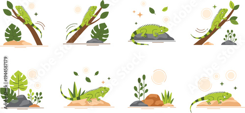 Vector Illustration Set of Green Iguanas in Various Poses Including Climbing Tree Branches and Resting on Rocks Isolated on White