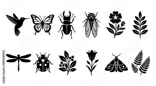 Adobe Illustrator Artwork