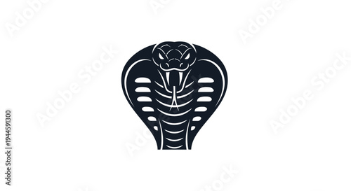 Black cobra snake head closeup view.