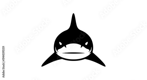 Black orca whale head portrait.