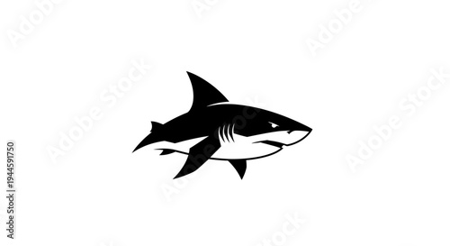 Black shark fish swimming right.