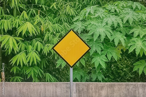 Empty Yellow Warning Sign in Front as a Road Sign with a Forest Background