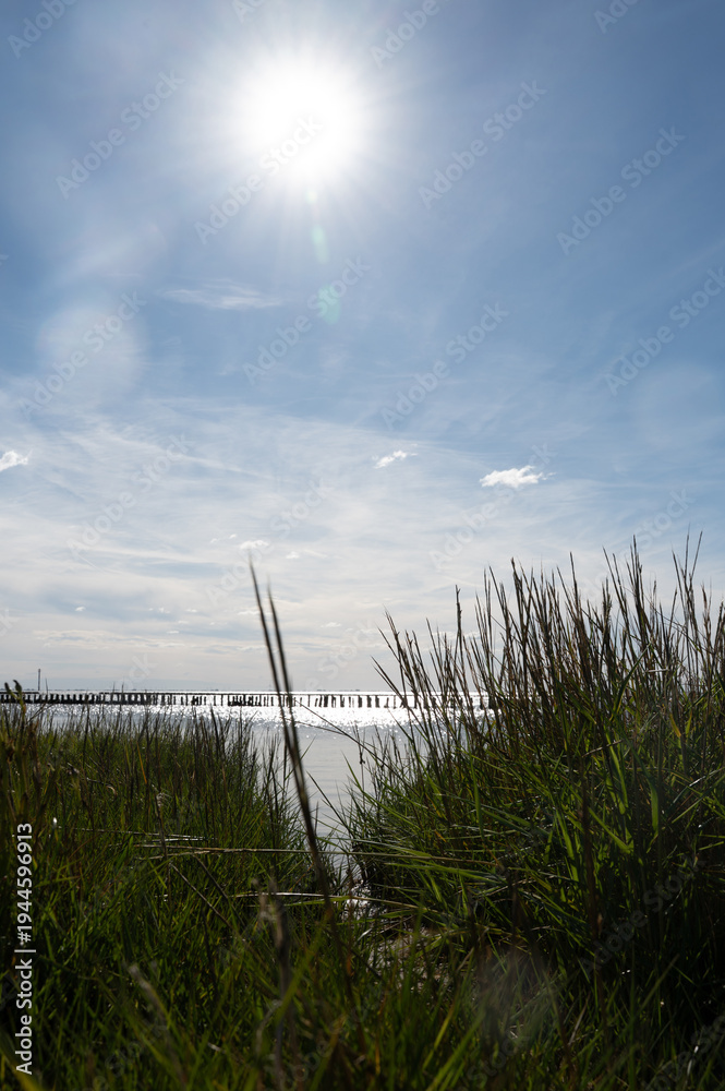 Fototapeta premium Dune grass with a view of the sea and sun by the noth sea
