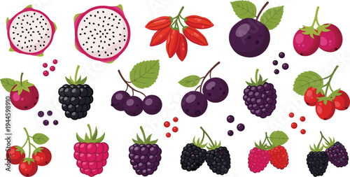 Superfood berry and fruit vector collection featuring dragon fruit slices blackberries raspberries and goji berries for healthy nutrition organic smoothies and wellness illustration designs.