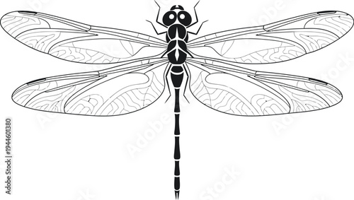Beautiful black and white illustration of a dragonfly in flight mode