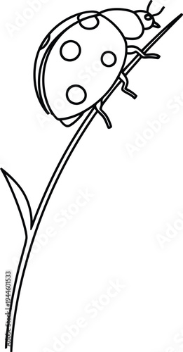 Simple outline illustration of a ladybug perched on a stem