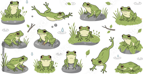 Green tree frog vector collection featuring cute amphibians in various poses jumping sitting on mossy rocks and swimming for swamp nature wildlife and pond habitat illustration designs.