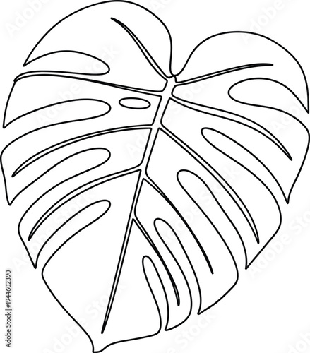 Simple black line drawing of a monstera leaf on white background