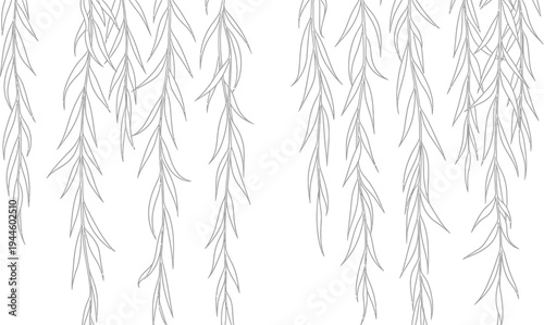 Elegant weeping willow branches illustration with minimalist black and white design