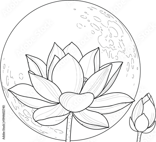 Beautiful lotus flower illustration with moon in the background