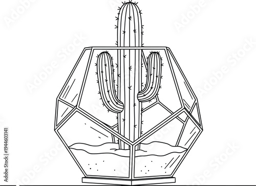 Cactus plant in a modern geometric terrarium container illustration