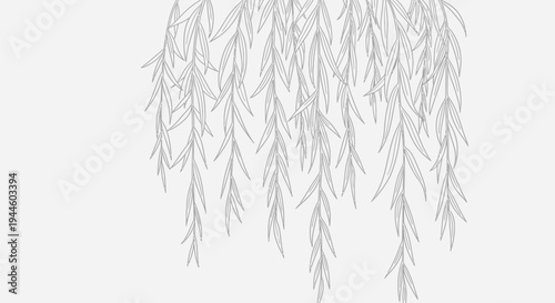 Simple black and white illustration of a weeping willow tree branch