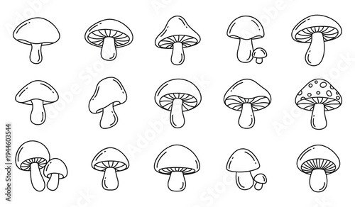 Detailed mushroom outline icon set for coloring book and design