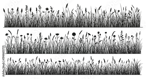 Black and white illustration of dense meadow grasses and wildflowers