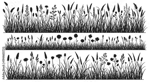 Detailed black and white illustration of various grasses and wildflowers