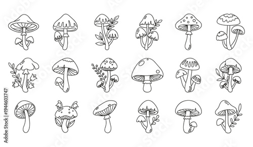 Mushroom grid vector illustration black white variety caps stems