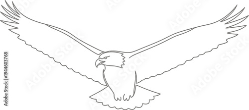 Simple line drawing of an eagle with spread wings in flight
