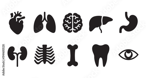 Set of human internal organs and skeleton bones black glyph icons illustration