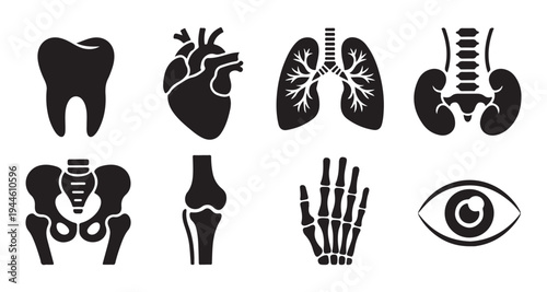Set of human internal organs and skeleton bones black glyph icons illustration