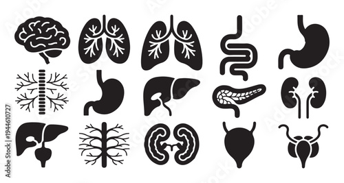 Human brain and organs icons including lungs heart stomach kidneys and liver for medical science and education