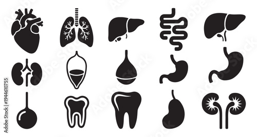 Set of human internal organs heart lungs liver stomach kidneys and teeth icons medical healthcare symbols