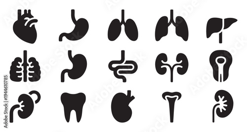 Collection of human organ icons heart lungs liver stomach kidneys and urinary tract for medical healthcare themes