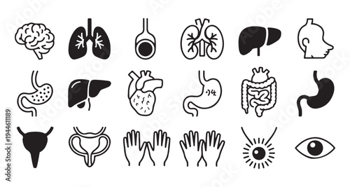 Internal human organ icons including brain lungs heart stomach liver kidneys and sensory organ symbols