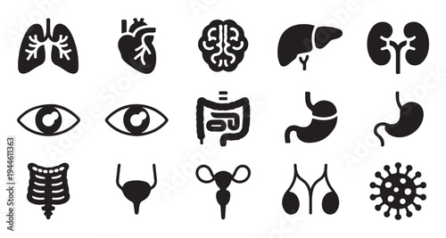 Set of human internal organs and biological elements icons including lungs heart brain and virus