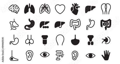 Diverse collection of human organ and body part icons for medical and science related designs