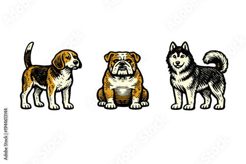 Three stylized dog illustrations including a beagle, a bulldog, and a husky, presented in a vintage woodcut graphic style against a solid black background.
