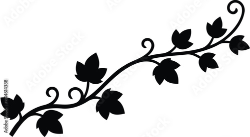 Black silhouette of vine with leaves on transparent background for decoration and design
