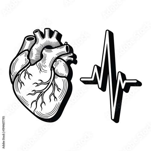 Heartbeat Cardiogram Medical Symbol Commercial