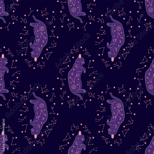 Mystical seamless pattern of cats in boho style, silhouette collection. Esotericism and mysticism, occultism. Cartoon flat vector illustrations, isolated