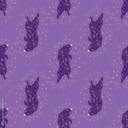Mystical seamless pattern of cats in boho style, silhouette collection. Esotericism and mysticism, occultism. Cartoon flat vector illustrations, isolated
