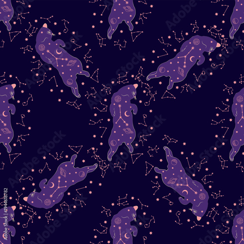 Mystical seamless pattern of cats in boho style, silhouette collection. Esotericism and mysticism, occultism. Cartoon flat vector illustrations, isolated