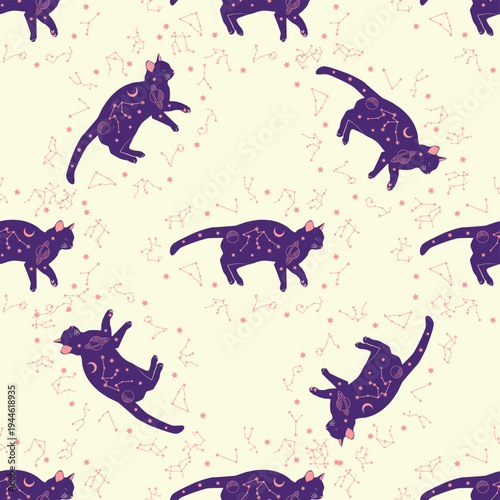 Mystical seamless pattern of cats in boho style, silhouette collection. Esotericism and mysticism, occultism. Cartoon flat vector illustrations, isolated
