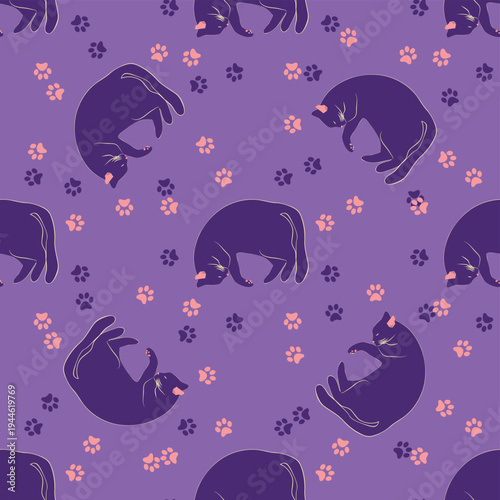 Mystical seamless pattern of cats in boho style, silhouette collection. Esotericism and mysticism, occultism. Cartoon flat vector illustrations, isolated