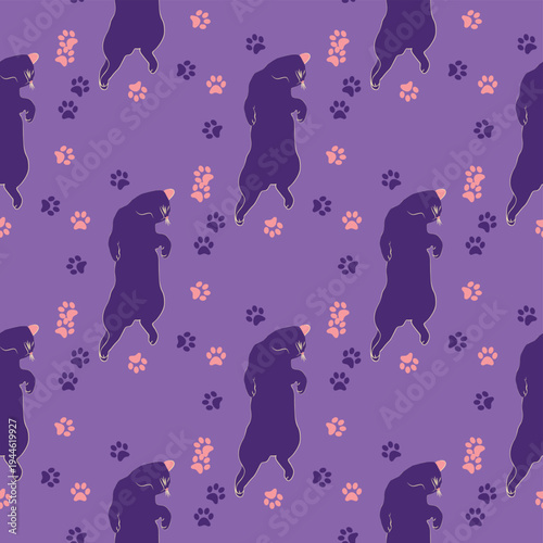 Mystical seamless pattern of cats in boho style, silhouette collection. Esotericism and mysticism, occultism. Cartoon flat vector illustrations, isolated