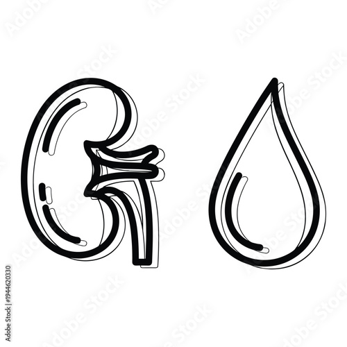 Kidney Health Fluid Balance Medical Icon