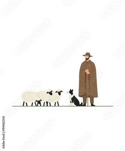 Shepherd with sheep and dogs herding flock flat design vector illustration