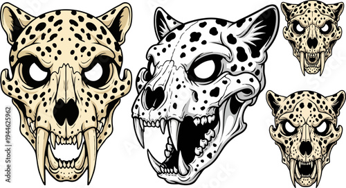Set of 4 leopard head icons vector