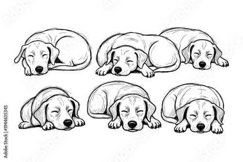 Vintage road trip emblem with retro van and sunset design for adventure enthusiasts