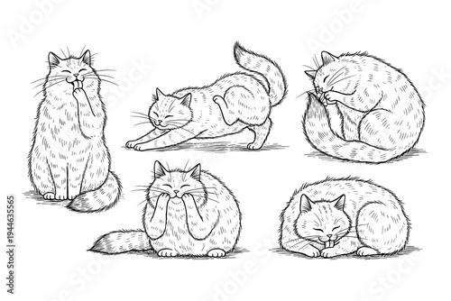 Vintage mountain hiking club emblem with boots and sunlit peaks