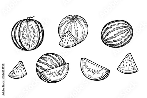 Vintage bicycle emblems with laurel and wings for custom logos