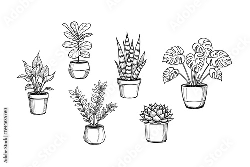 Nature badge collection: monochrome mountain and forest scenery emblems