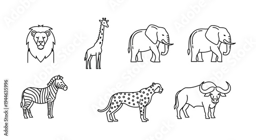 vect (8) illustration of various wild animals in a simple line art style