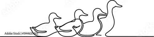 Continuous single line drawing depicts a row of four ducks swimming together symbolizing family unity and nature's simplicity