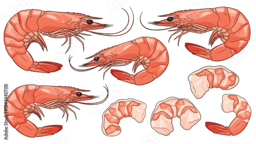 Selection of cooked pink shrimp is shown in both whole and peeled versions to represent various seafood preparation and dining options.
