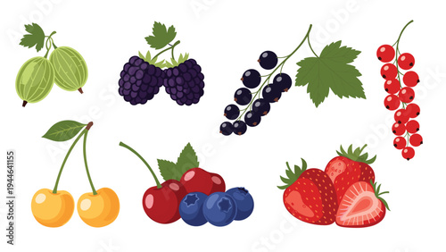 Group of assorted summer berries includes ripe strawberries and blackberries along with gooseberries and currants for a healthy snack.